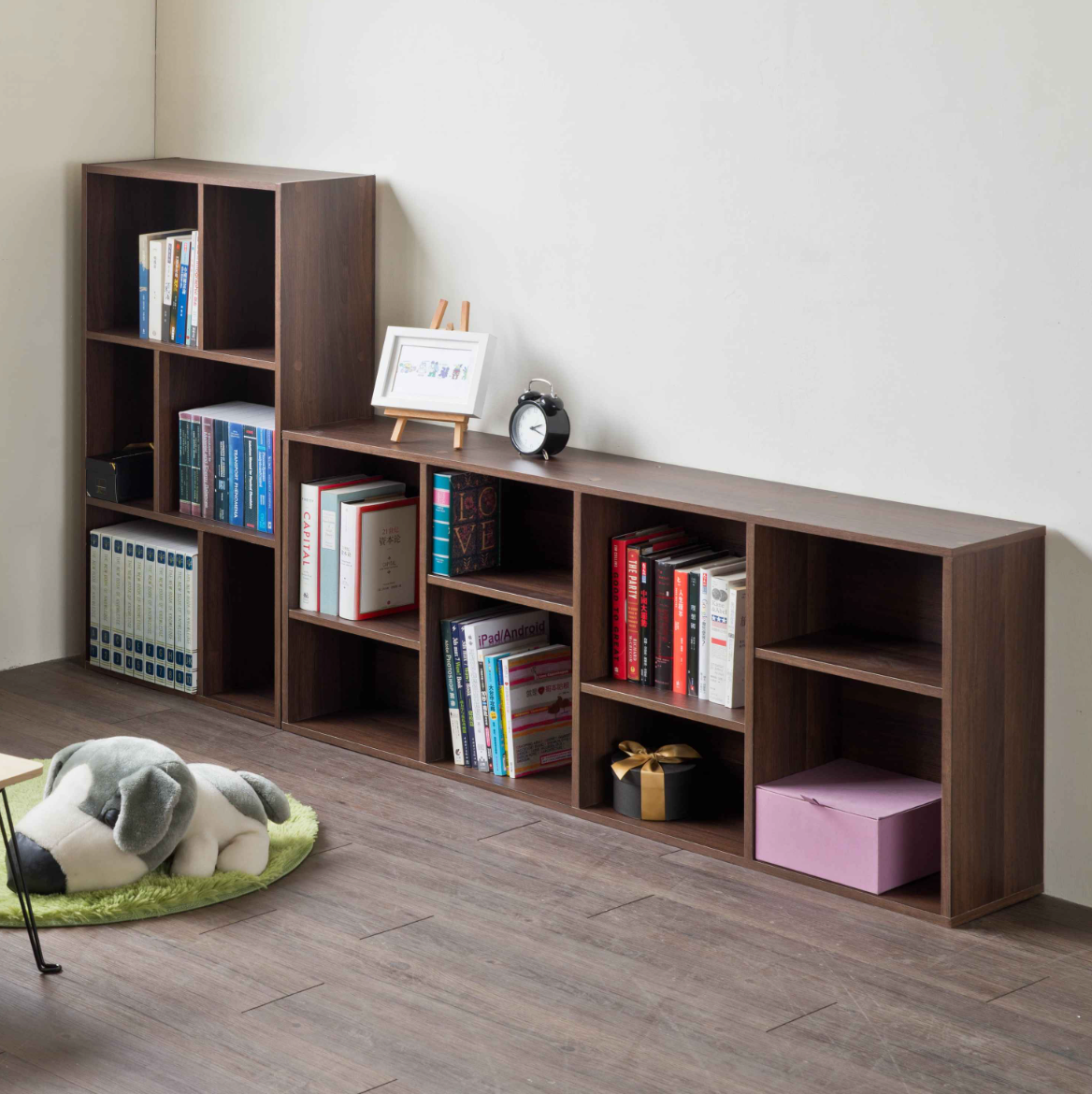 Modern Storage Bookcase
